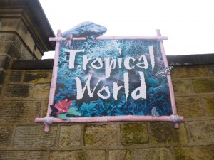 Attractions in Leeds Tropical World
